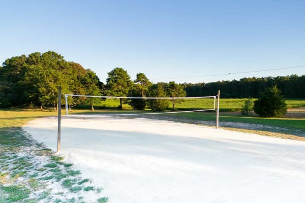 ER Main-VollyBall 2_compressed